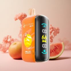 ELF BAR RAYA D3 25000 מקטרות טעון מנגו אפרסק אבטיח